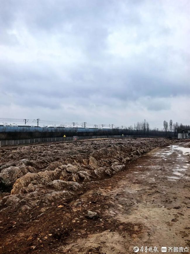 山东挖出约5亿年前“石海” 高铁施工意外发现