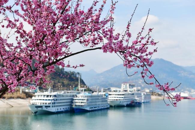 跑步入春！全国入春进程图出炉 南方多地提前入春