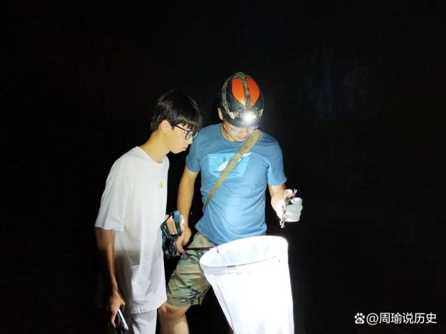 17岁男生发现新物种“筷子蛇” 刷山40余夜终获关键标本