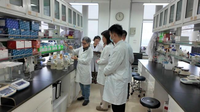 今春，北京将在东西城、海淀等六个区投用花粉固定剂