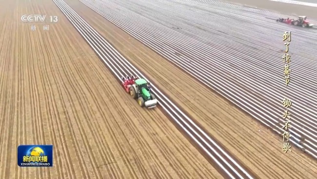 文化中国行丨二十四节气·惊蛰