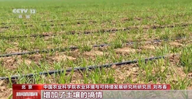 政策赋能+科技“慧”农 各地春耕备耕呈现新气象