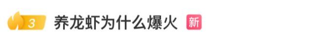 AI“龙虾”爆火 湾区上门一次收4.2万 全民养虾热潮
