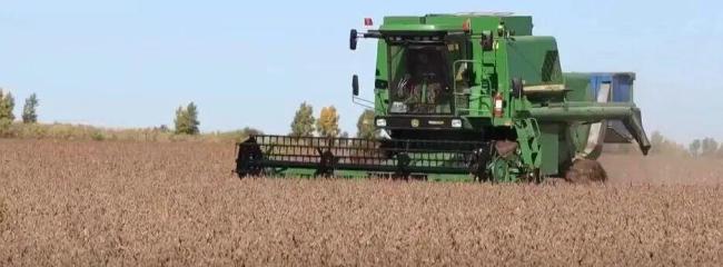 从政府工作报告数据看我国发展活力 蓬勃增长态势显现