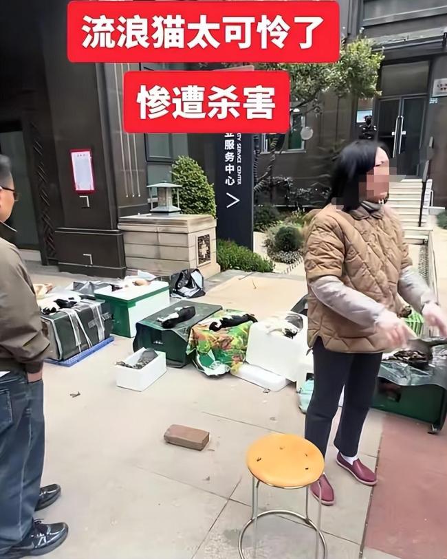小区10余只流浪猫疑被毒杀 警方介入 现场惨不忍睹