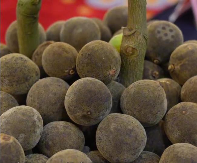 终于有人把化橘红说清楚了 润喉化痰理气健脾