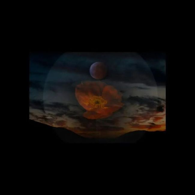 巴黎时装周 光与影的时尚探索