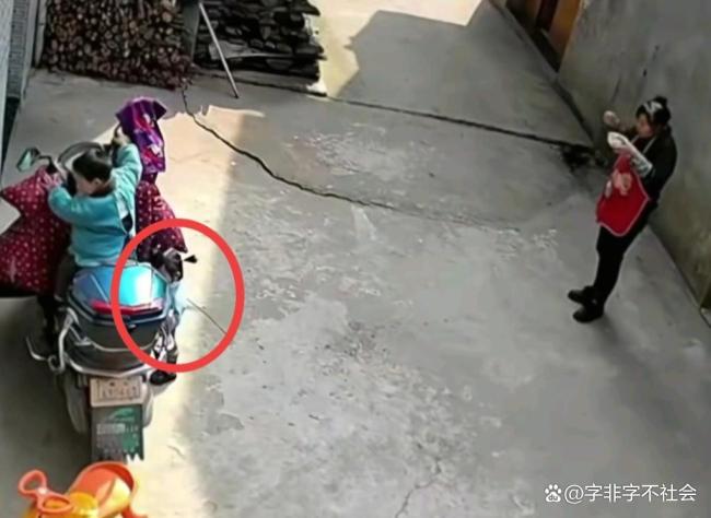 孩子被电瓶车压倒老人反扇打小孩 奶奶的无奈与争议