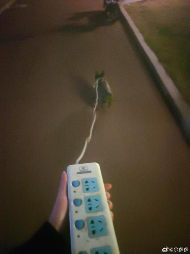 新能源小狗 网友：不充电不走啊