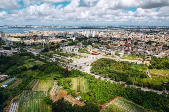 年轻人为何扎堆去福建、潮汕看“游神”?