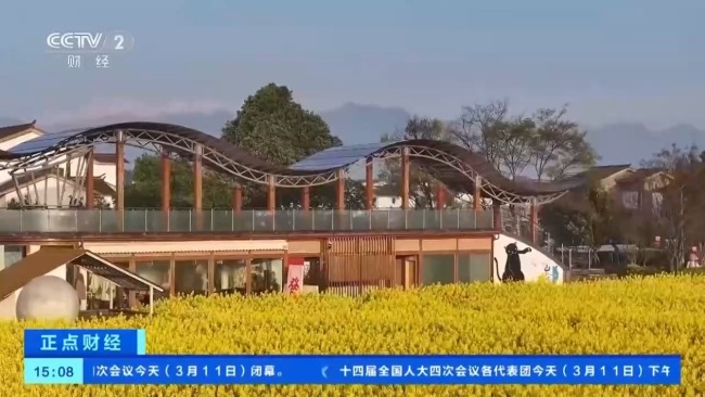 油菜花田里吃火锅 解锁赏花季全新体验