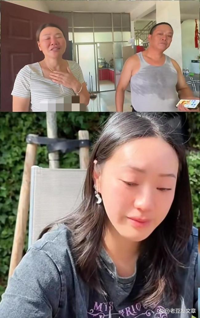 女婴被收养28年后从荷兰回国认亲 血缘下的荒诞团圆