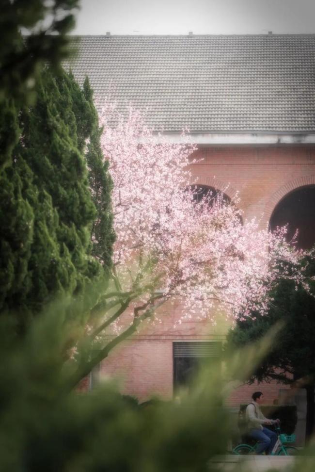 清华公布2026年研考复试线 专项计划及加分政策详解