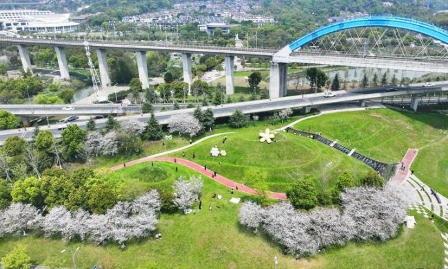 春已至！“植”綠山河