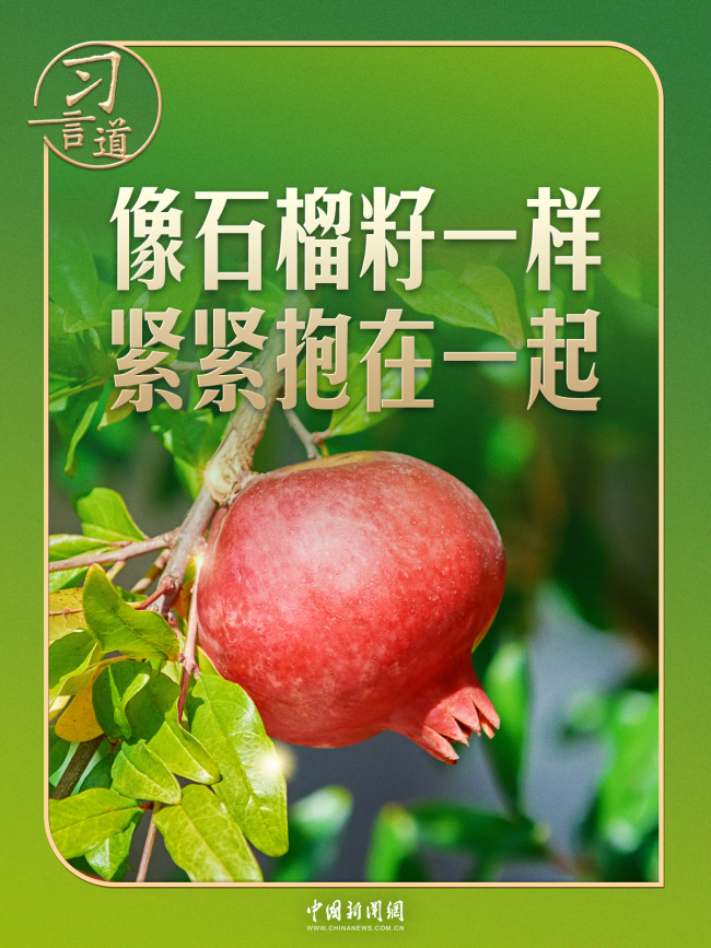 中新网3月12日电 题：“石榴籽”之喻，有了坚实的法治保障