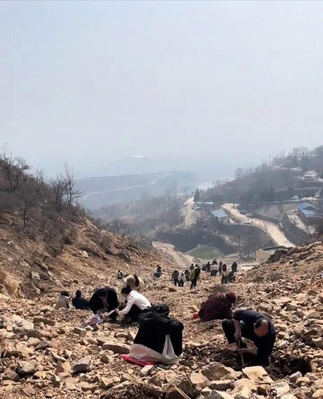 有人“免费挖玉”挖到15斤黄金?官方辟谣