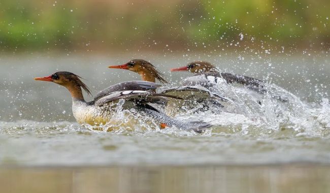 生态环境法典守护百姓美好生活 法治护航绿色未来