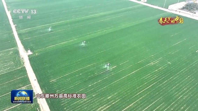 人勤春来早 农忙正当时 走进春天里的中国