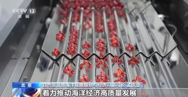 2025年我国海洋生产总值超11万亿元