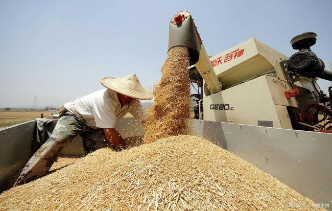 小麦全面涨价已经势不可挡 市场供需紧张推高价格