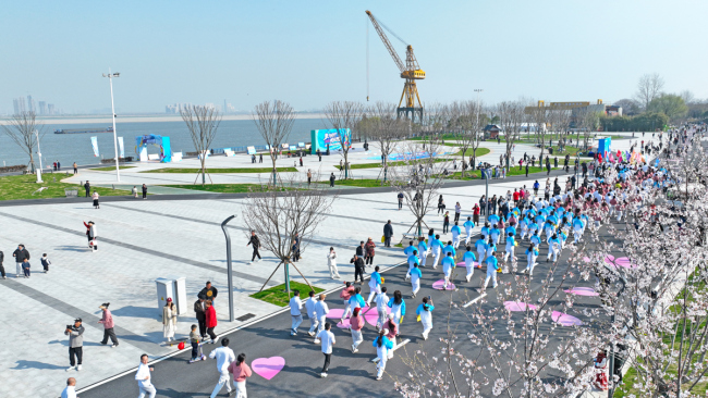 武汉青山江滩二期春花盛开游人如织 江景繁花交织成画