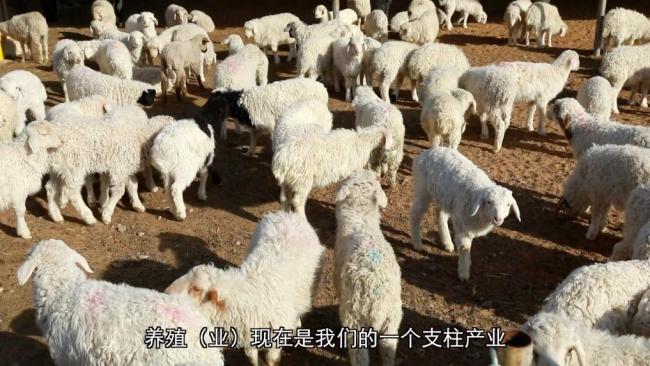 扎根乡土办实事 共筑和美新乡村