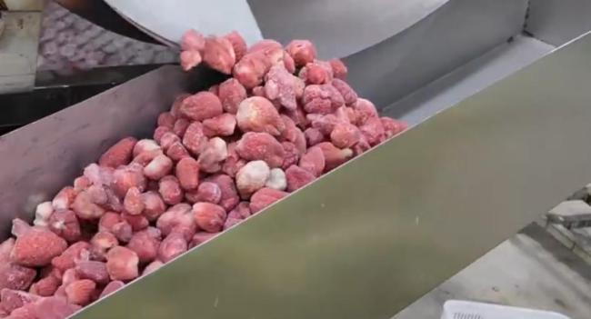 冻干草莓重金属超标后续 严查产业链违规