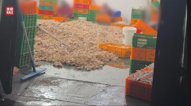 315晚会曝光完整名单 揭秘消费陷阱