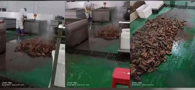 律师解读鹿哈或需赔偿消费者26.9亿元 假一赔三承诺引热议