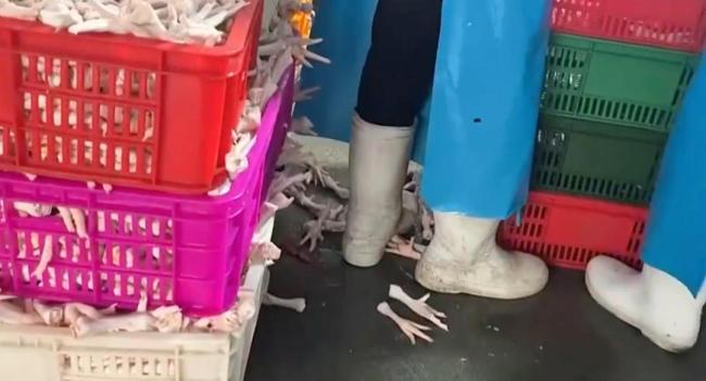 网红鸡爪竟是双氧水“漂白”的 315晚会曝光食品安全问题