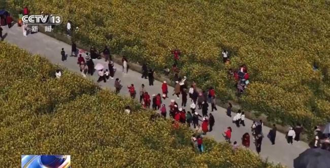 旅游新规如何为游客“撑腰” 投诉更便捷高效