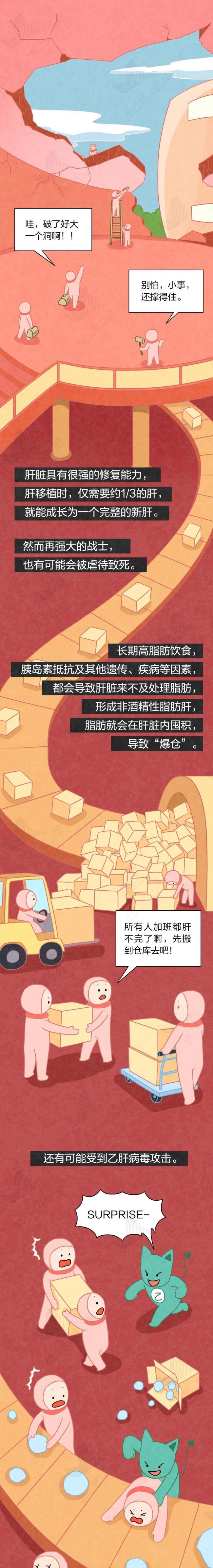 这些伤肝的行为你可能每天都在做 爱护肝脏从日常做起