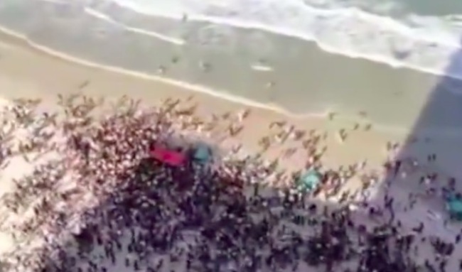 美海滩有人踩水瓶似枪响游客奔逃