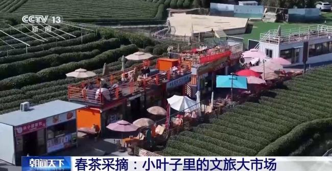 踏青赏花、采春茶、吃春菜 春日经济活力尽显