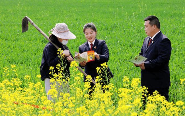 两办下发第二轮土地延包试点工作意见 保障农民“铁饭碗”