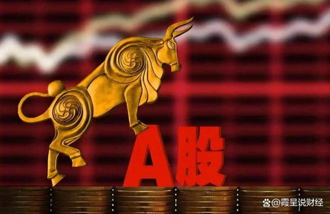 教授：股市跌破4000点也会很快回来 指数与账户的割裂现实