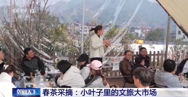 采春茶、吃春菜 各地特色活動邀你盡享春日愜意