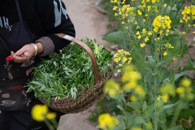 美味野菜有风险，怎样安全吃？指南来了！