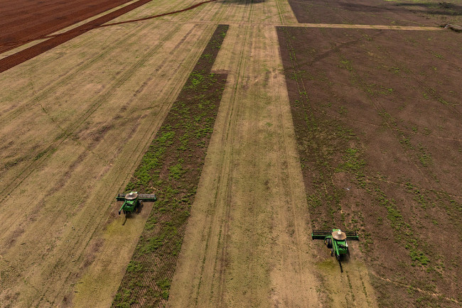 涉大豆出口，巴西将派团赴华磋商