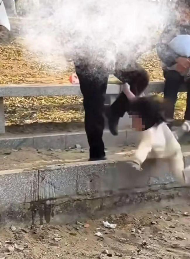 街头多次踢踹幼女老太为亲外婆 情绪失控引关注