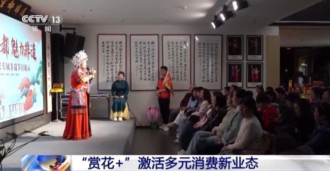 采春茶、吃春菜 各地特色活动邀你尽享春日惬意