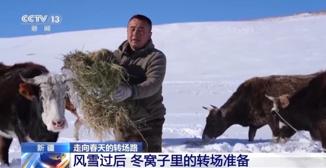 “搬家”進(jìn)行中 阿勒泰春季轉(zhuǎn)場有多壯觀
