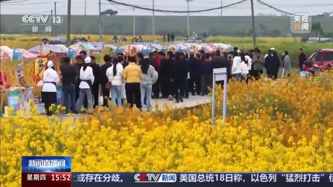 彩色油菜花让农田变身“调色板”