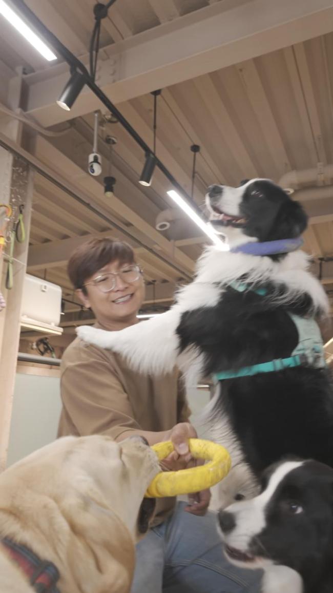 宠物主也卷“学区房”？上海的狗狗上起了幼稚园，宠物日托或成为社区新配套