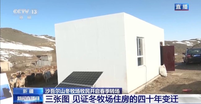 “搬家”進行中 阿勒泰春季轉(zhuǎn)場有多壯觀