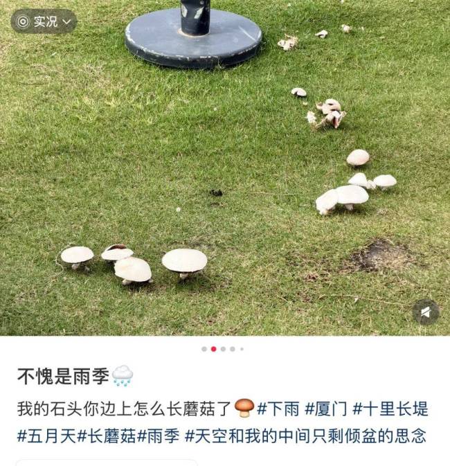 深圳一对夫妻喝汤后双双入院 警惕野生毒蘑菇