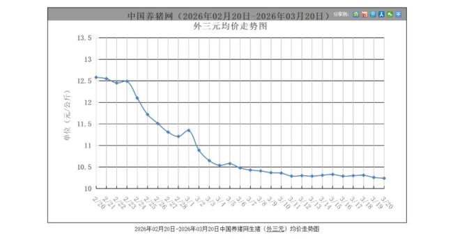 生猪价格降至近20年低位 养殖户亏损严重