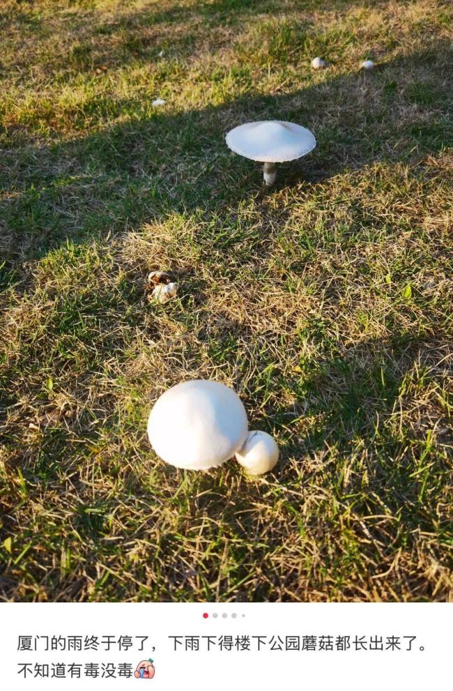 深圳一对夫妻喝汤后双双入院