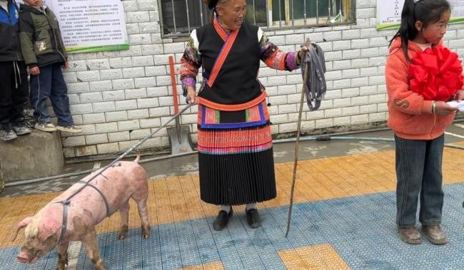 给学生奖24头小猪支教老师发声 传递尊重劳动理念