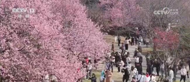 今天买清明假期第一天火车票 铁路部门增开列车满足需求